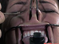 Tongue clamped bdsm sub pussy teased