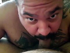 Sucking off a latino daddy