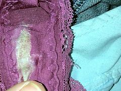 Dirty wet panties of my wife