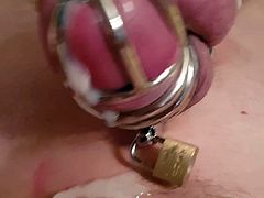 Chastity cage cumshot