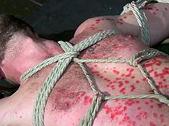 This is one really cool video! The blindfolded sex slave lies in a star pose on the floor, tied with ropes and naked, while his cruel master slowly pours hot drops of candle wax on his belly and cock... Join for gay bondage with hardcore sex.