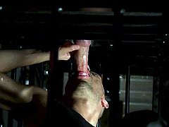 Time to enjoy hot bdsm threesome with Riley Mitchell. The muscular tattooed guy is bound by ropes and is lying on his stomach, while a man kisses and licks his feet, and another guy strokes, and sucks his dick