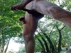 BIG DICK WANKING NAKED IN THE FOREST