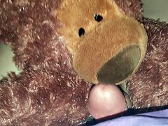 Trans girl humps teddy bear