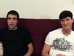 Homosexuals Video