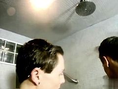 Gay sex short clips download Bareback Buddies In The