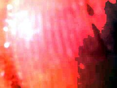 Homosexuals Video