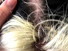 Cute amateur blonde sucks and cumshot