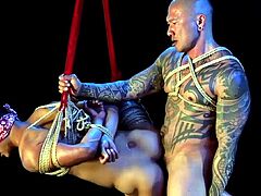 Bound Zed Sheng Takes Bareback Pounding From Damian Dragon