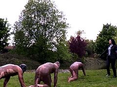 Lady Scarlet - Lady Scarlet & Lady Samira - Pigs